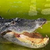 Photo submitted by Gina