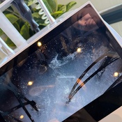 Photo submitted by Yajaira