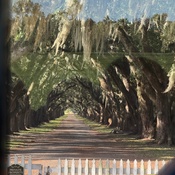 Photo submitted by Samarthraj