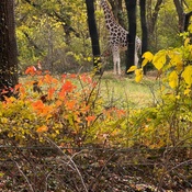 Photo submitted by Jacqueline