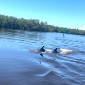 Photo submitted by Lacey