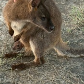 Photo submitted by Kim