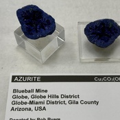 Photo submitted by Guest