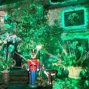 Photo submitted by Laura