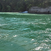 Photo submitted by Dana