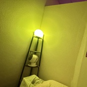 Photo submitted by Guest