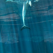 Photo submitted by John