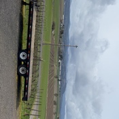 Photo submitted by Syrina