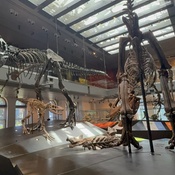 Photo submitted by Adriana