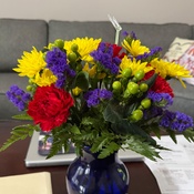 Photo submitted by Molly