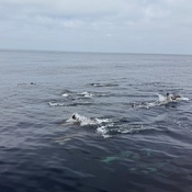 Photo submitted by Susie