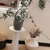 Photo submitted by yuzhang