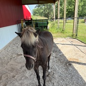 Photo submitted by Kit