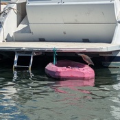 Photo submitted by Anita