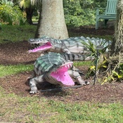 Photo submitted by giani