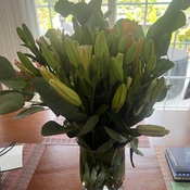 Photo submitted by Anna