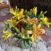 Photo submitted by Guest