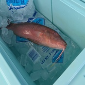 Photo submitted by Kayla