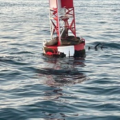 Photo submitted by Helen