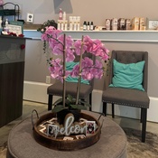 Photo submitted by Tiffiny