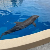 Photo submitted by KENNETH