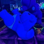 Photo submitted by Guest