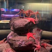 Photo submitted by Guest