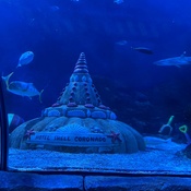 Photo submitted by Natalie