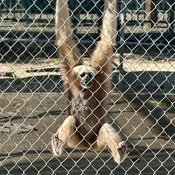 Photo submitted by Anne