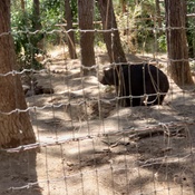 Photo submitted by Lori