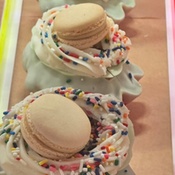 Photo submitted by Samantha