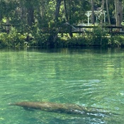 Photo submitted by Christy