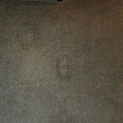 Photo submitted by Lexy