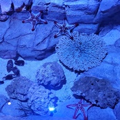 Photo submitted by Ven