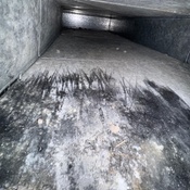 Photo submitted by Cristina