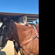 Photo submitted by Megan