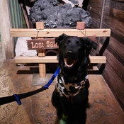 Photo submitted by Vincent