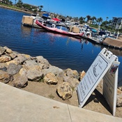 Photo submitted by Tami