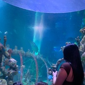 Photo submitted by Marlene