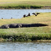 Photo submitted by Gina