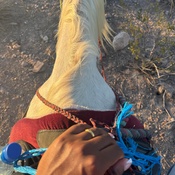 Photo submitted by Kwamaysia