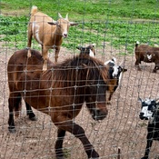 Photo submitted by Amber