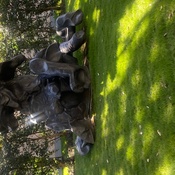 Photo submitted by Billie