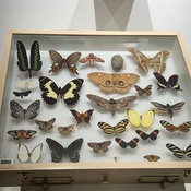 Photo submitted by Brittny