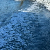 Photo submitted by Kris