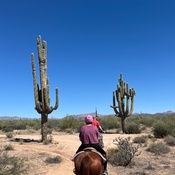 Photo submitted by Megan