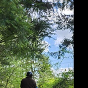 Photo submitted by Jerome