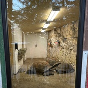 Photo submitted by Elizabeth