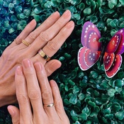 Photo submitted by Laura