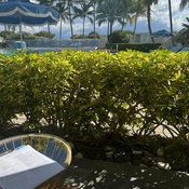 Photo submitted by Taneekah